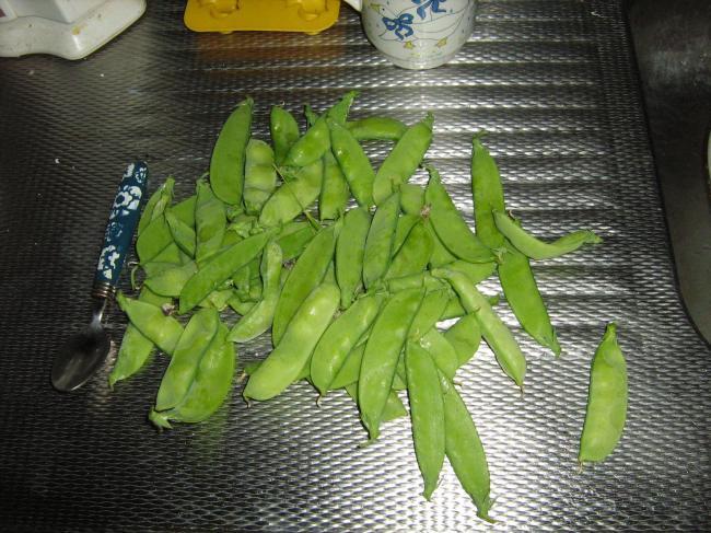 img178675721342374178.JPG