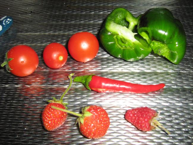 img178828731342374177.JPG