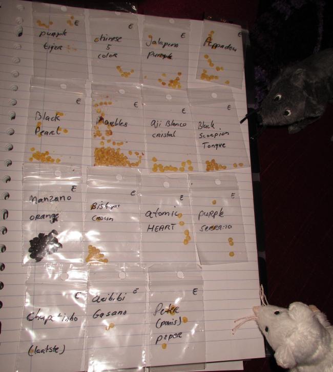 img1842m33081364704265.jpg