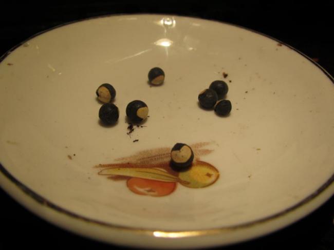 img1959800x60075141364704267.jpg