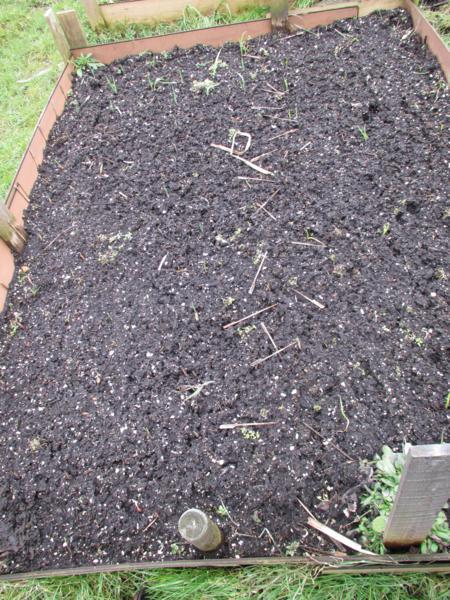img1976450x60036101364707383.jpg