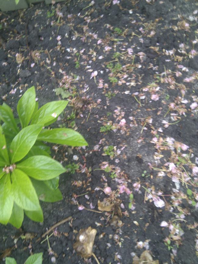 img2013052007412359941369031022.jpg