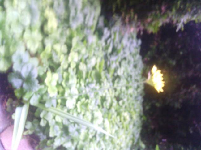 img2013061402265070691371149395.jpg
