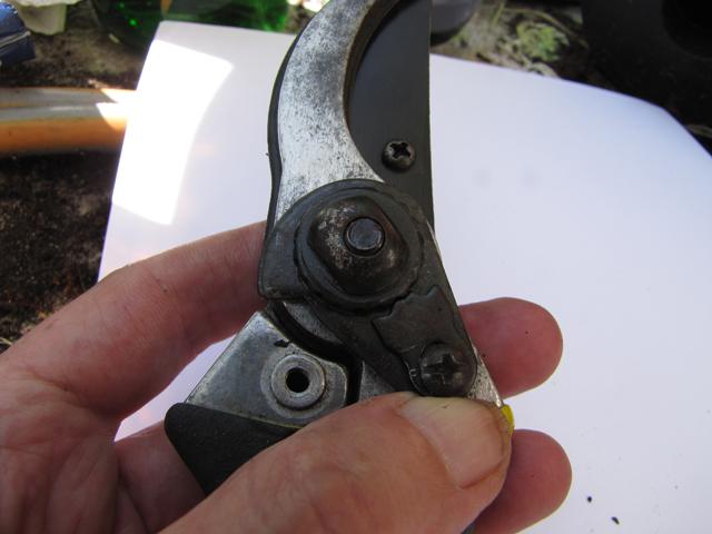 img2217k47381345008964.JPG