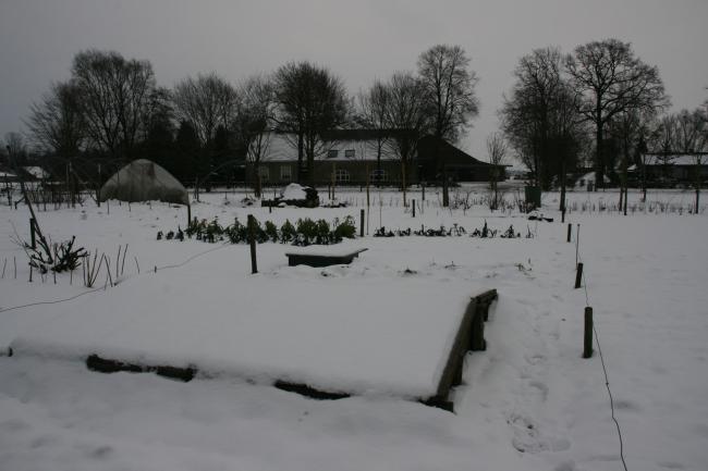 img487982321358603767.JPG