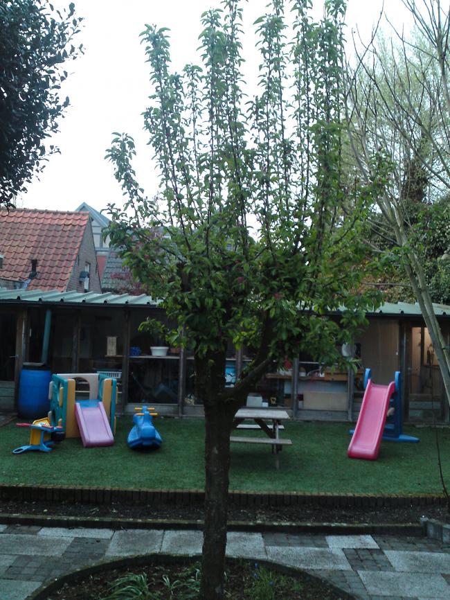 img52453811334953409.JPG