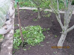 img5555-(300x225)92901372103068.jpg