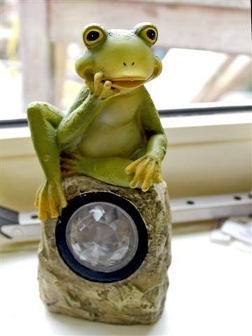 img6455-b-kikkerlampje72491330465984.jpg