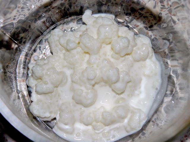 img_5818-b-kefir-in-de-pot58721327771699.jpg