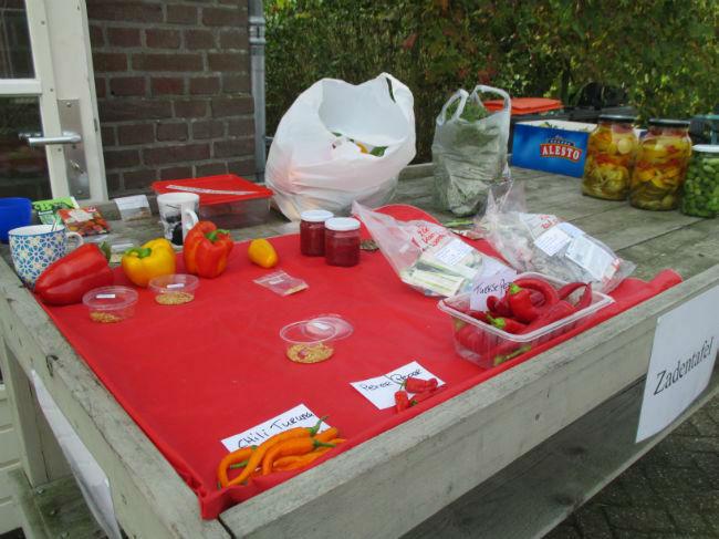 in-het-zuur16921412688501.jpg