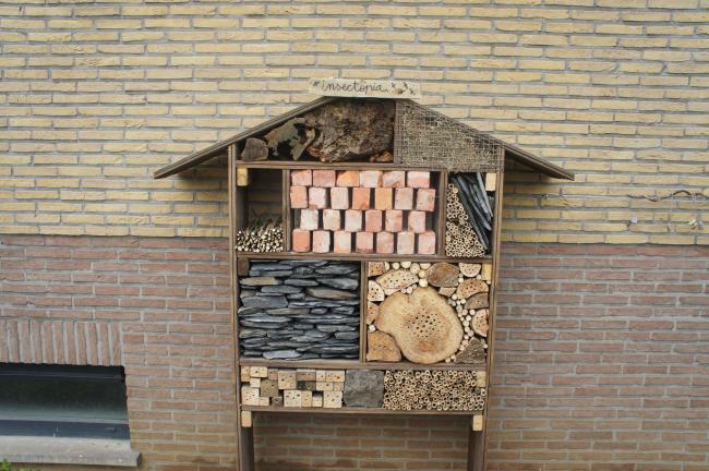 insectenhotel-2-00232331334667983.JPG