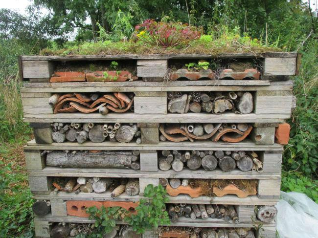 insectenhotel-pallets97011452963200.jpg