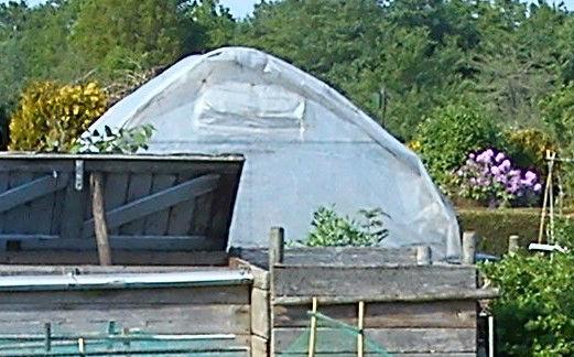 kas0235631385225579.jpg
