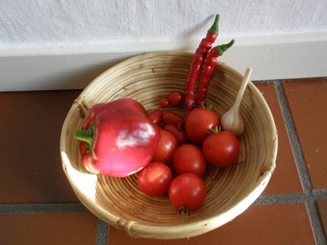 kippen-01846961346311845.jpg
