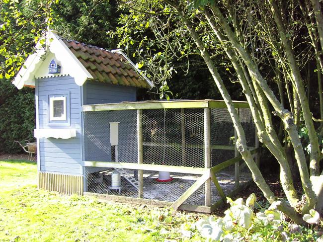 kippenhok67451365606329.jpg