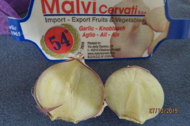 knoflook261601572200710.JPG