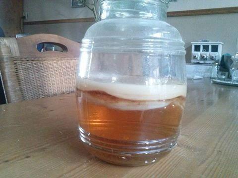 kombucha25461418654746.jpg