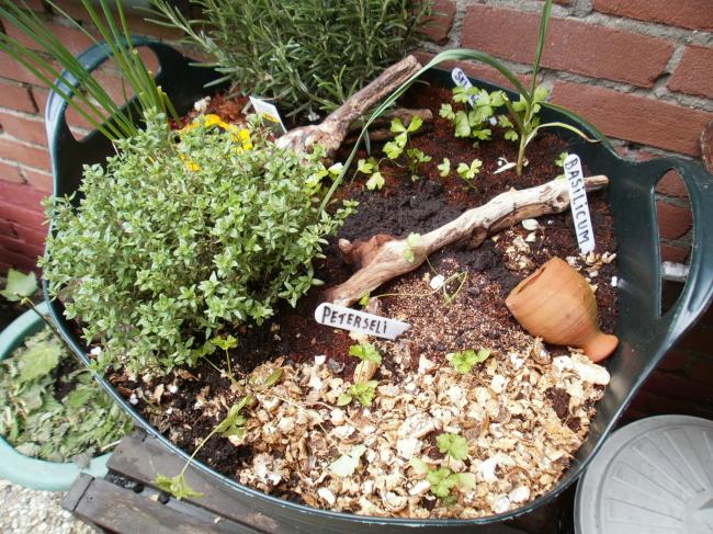 kruiden-bak-in-patio40921334310894.jpg