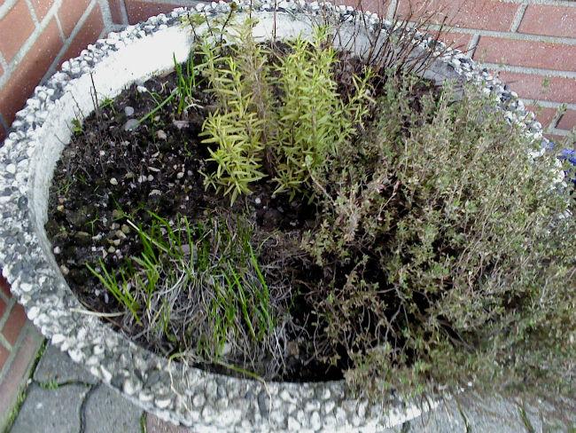 kruidenpot49111392122576.jpg