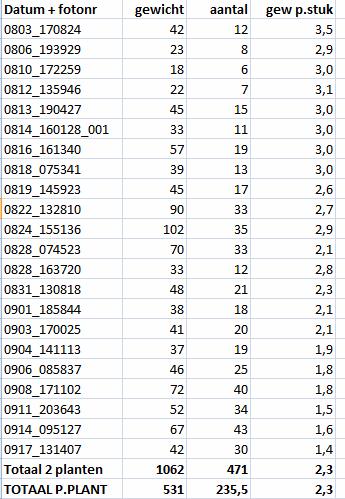 lampioneindstand63451474113012.png