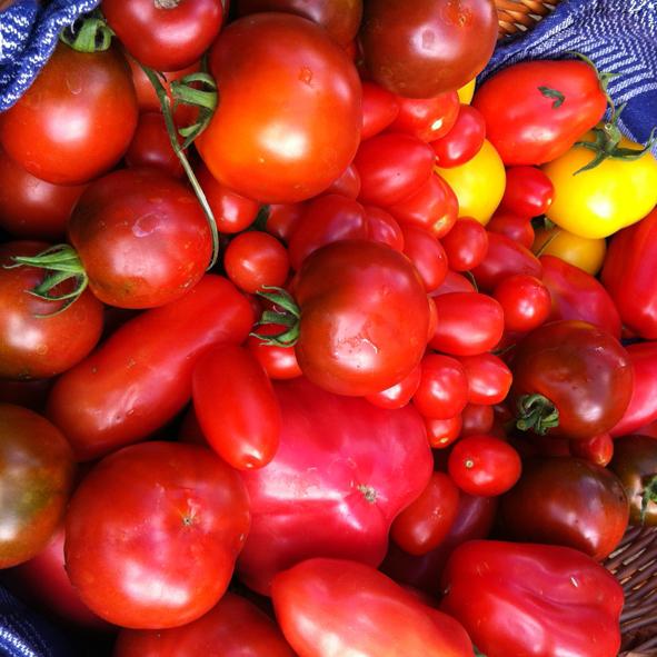 mand-vol-tomaten77891355919425.jpg