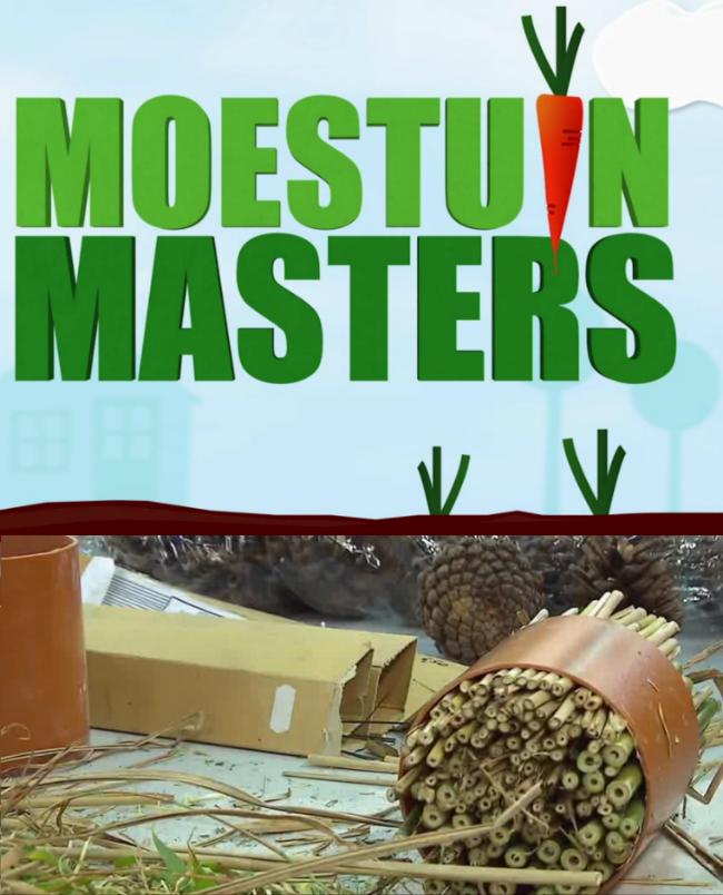 masters219021427315901.png