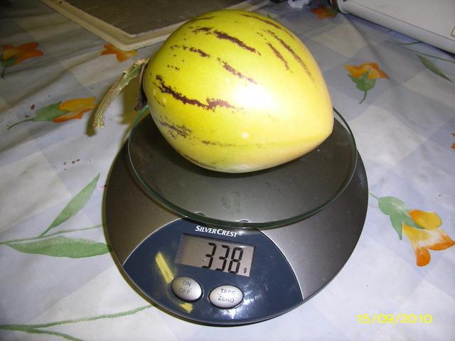 meloenpeer488051370032677.jpg