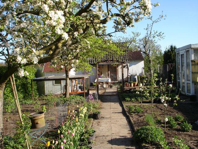 met-Stef-00385451422860190.JPG