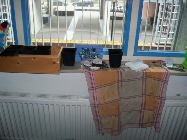 mijn-moestuin-00118441366990806.jpg