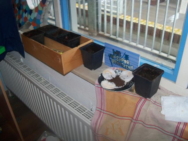 mijn-moestuin-00382561366997414.jpg