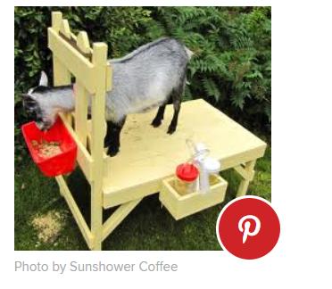 milkstand89451542825899.png