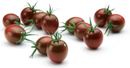 mini-Kumato-96101460660048.png