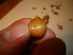 mini79091384258798.jpg