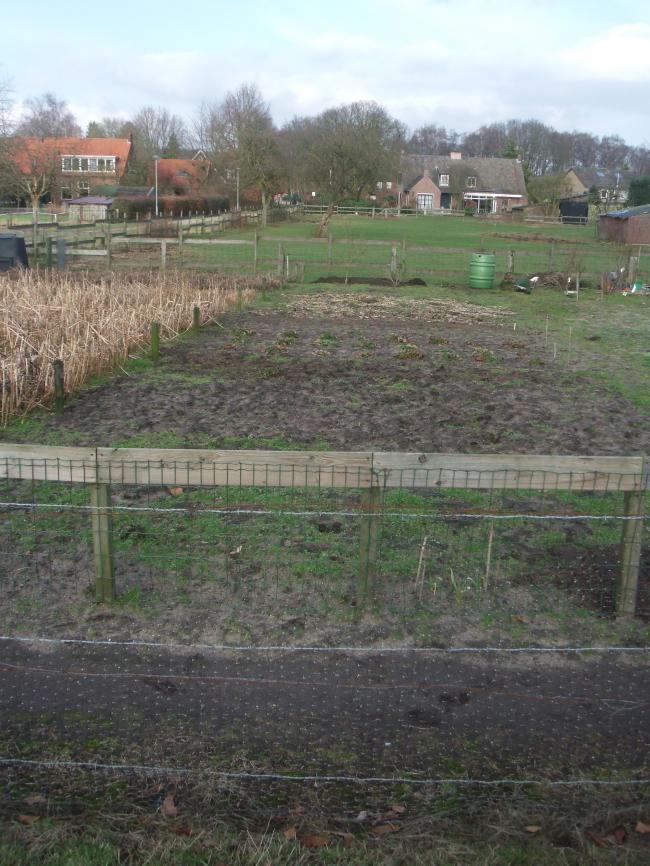 moestuin-(1)87061361131129.jpg