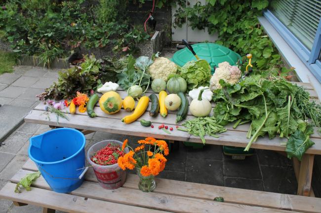 moestuin-00857401375381799.JPG