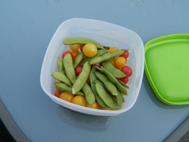 moestuin-01259671377884382.JPG