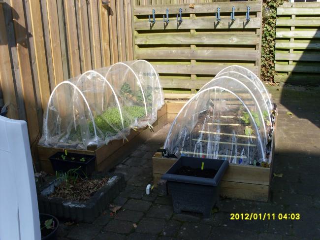 moestuin-01448371332442246.JPG