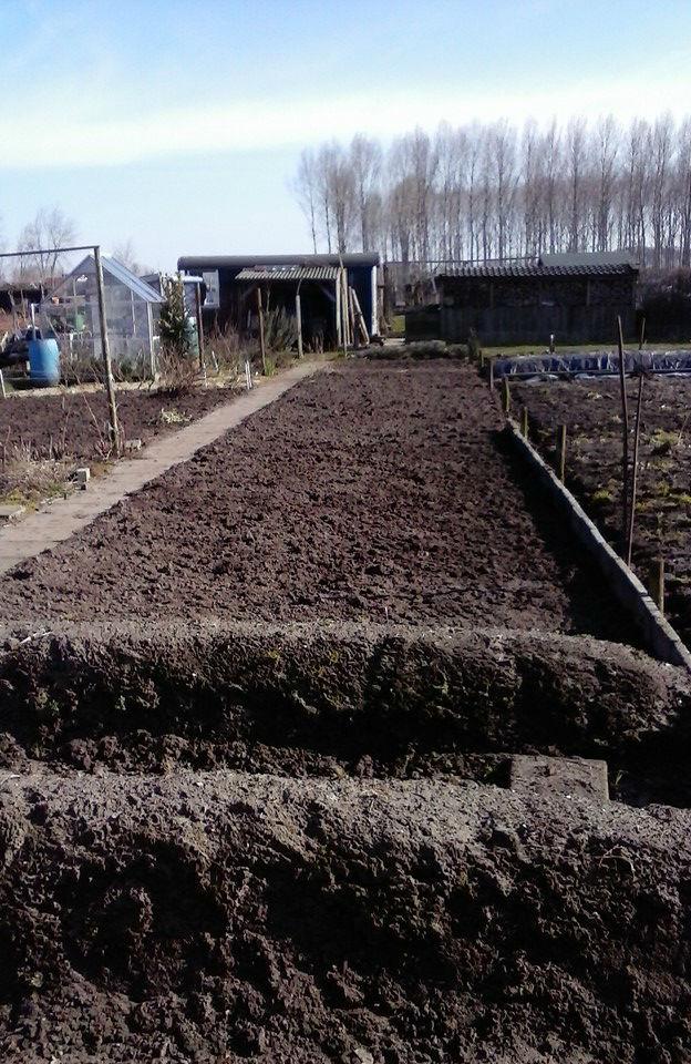 moestuin-12-3-201613091458155915.jpg