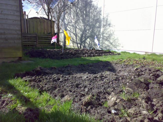 moestuin-328371332159814.jpg