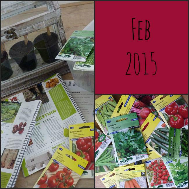 moestuin-feb-201587441423479371.jpg