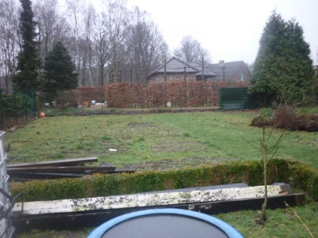 moestuin-links49301359968511.jpg