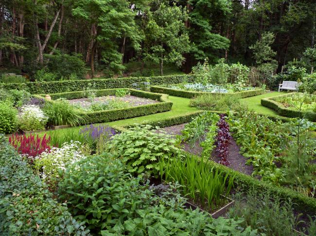 moestuin-overzicht19251347408623.jpg
