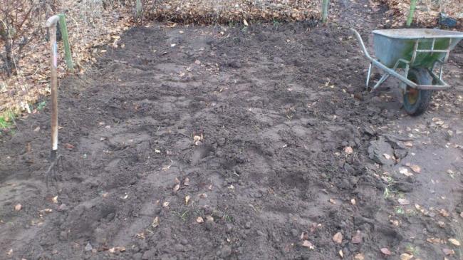 moestuin-zonder-kweekgras75321361390311.jpg