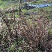 moestuin-zonder-sneeuw-blog0694221359570598.jpg