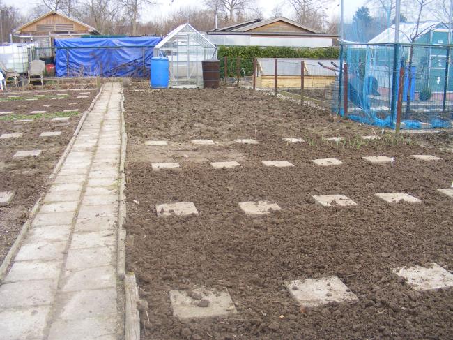 moestuin2-3-3-201254721330787744.JPG