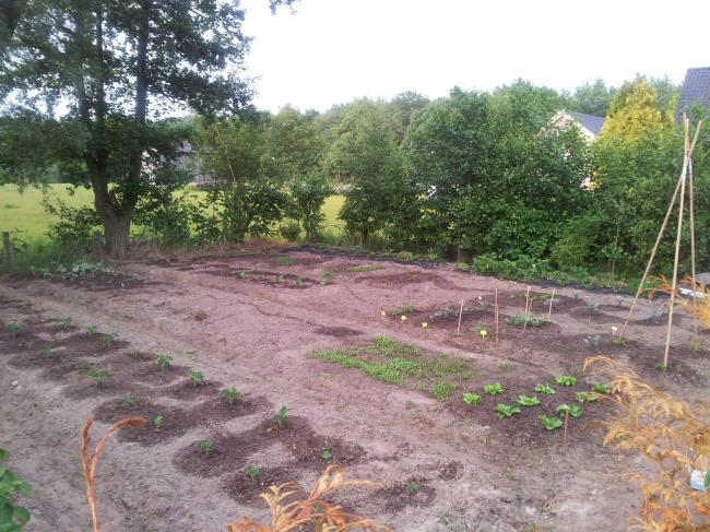 moestuin230951371723271.jpg