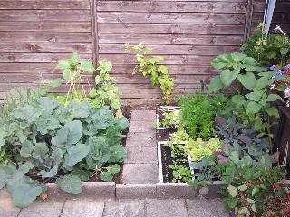 moestuin36731341470940.png