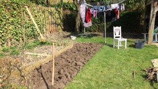moestuin82851493125646.jpg