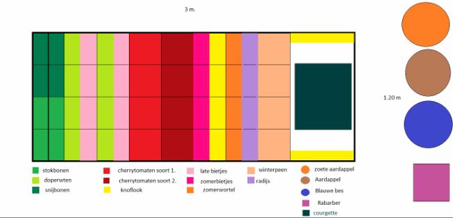 moestuinbak-33-vak-v125471524389626.png