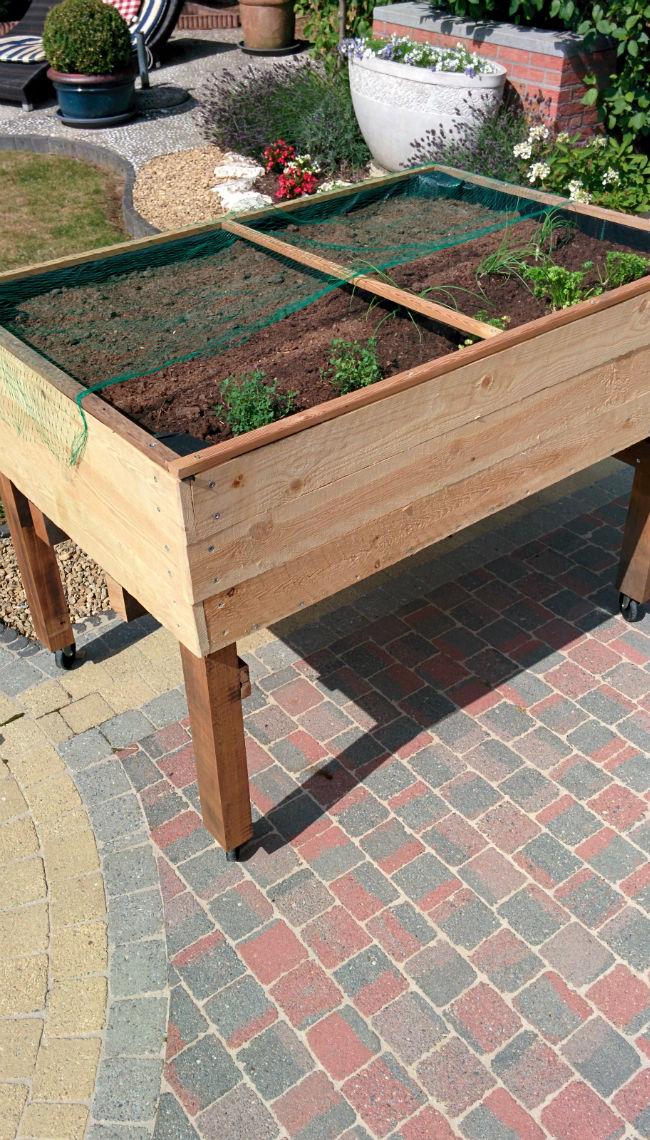 moestuinbak18391437237571.jpg